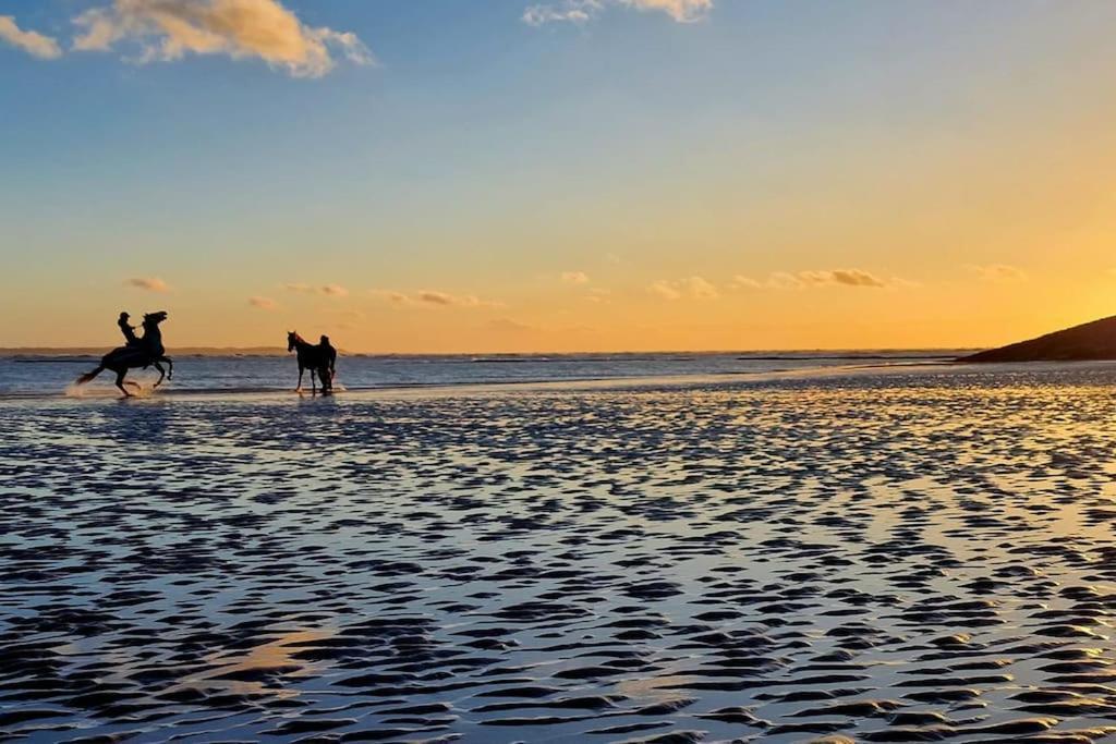 Petit Prince Berck Exteriér fotografie