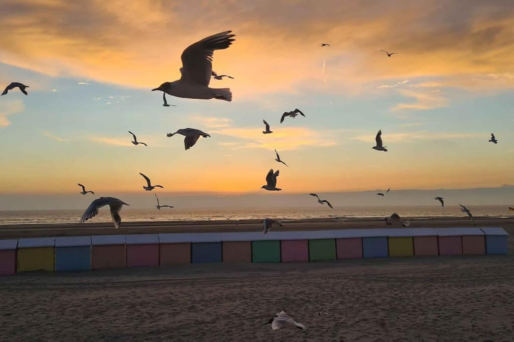 Petit Prince Berck Exteriér fotografie